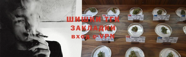 гашик Алексин