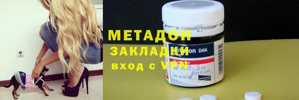 гашик Алексин