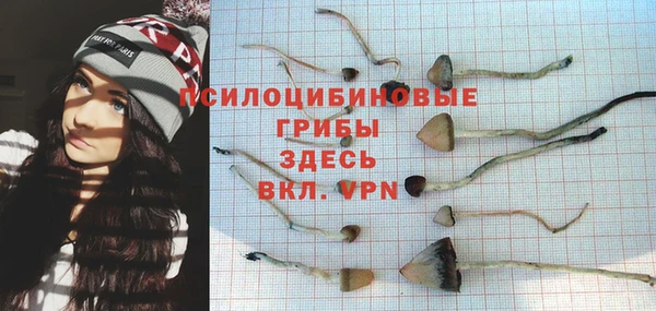 не бодяженный Алзамай