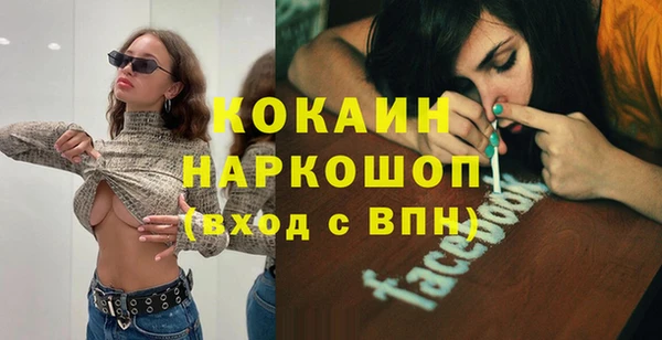 гашик Алексин