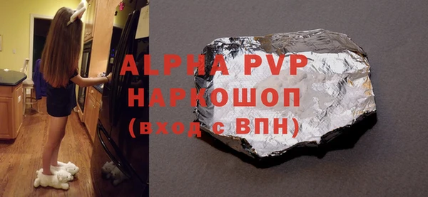 гашик Алексин